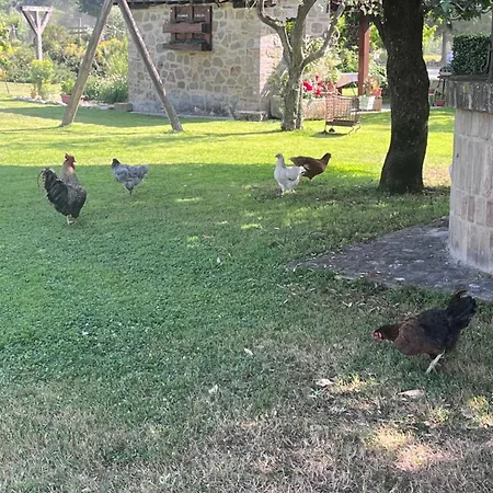 Vocabolo Monache * Ponte Pattoli